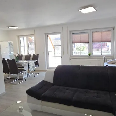 Seehaas2 公寓 腓特烈港