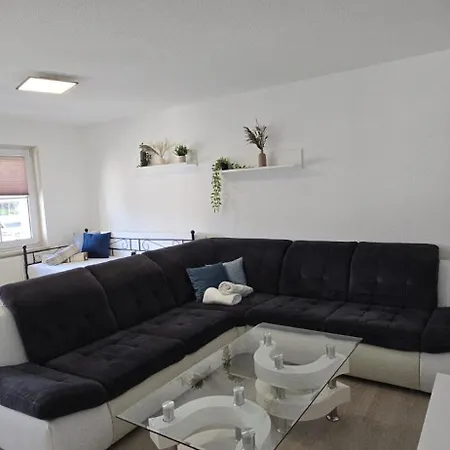 Seehaas2 Friedrichshafen