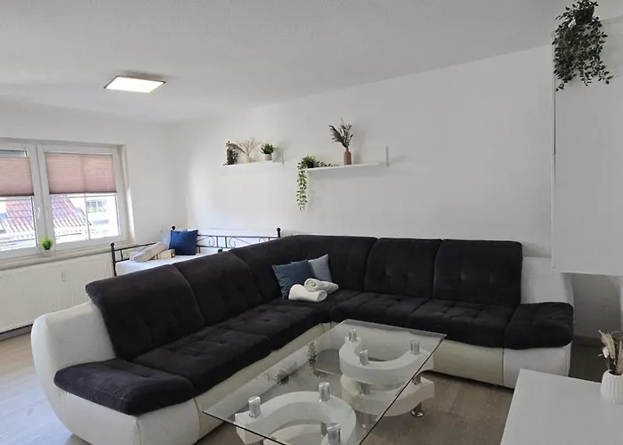 Seehaas2 Friedrichshafen